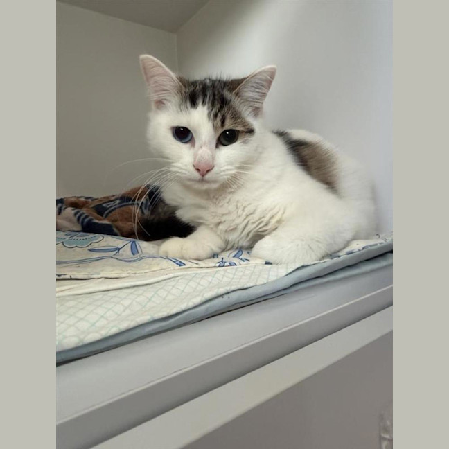 Photo of Roo (Bonded To Cucumber)