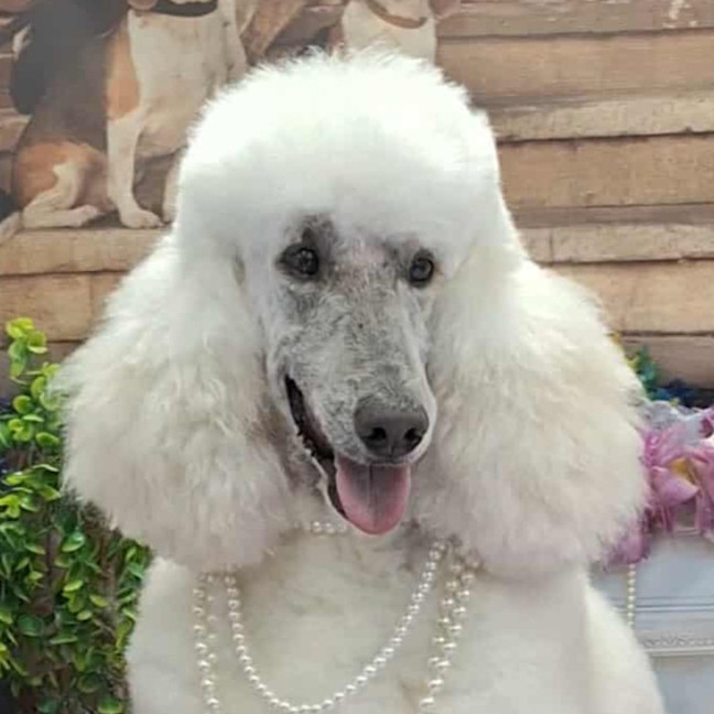Photo of Sophie