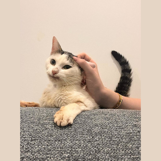 Photo of Winnie