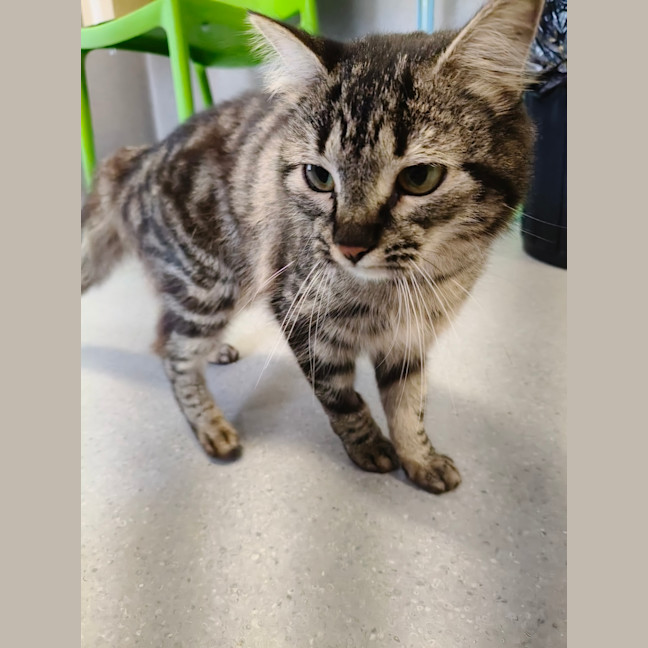 Photo of Billie Bean 