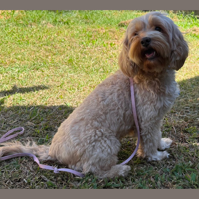 Photo of Ruby