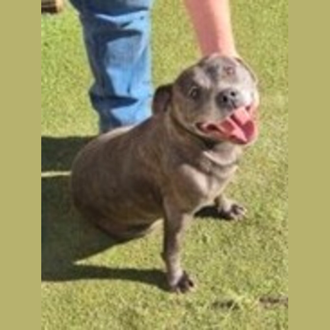Photo of Bonnie