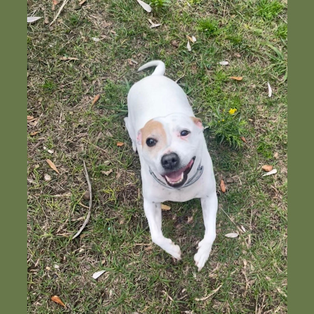 Photo of Molly (0976)