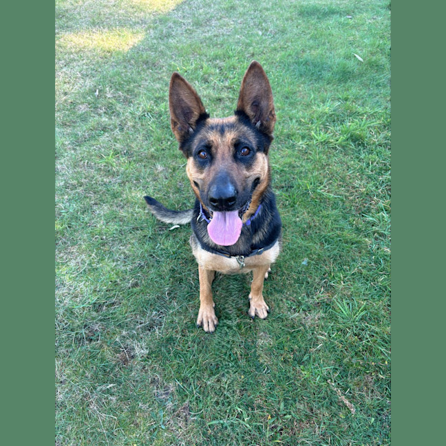 Photo of Luna