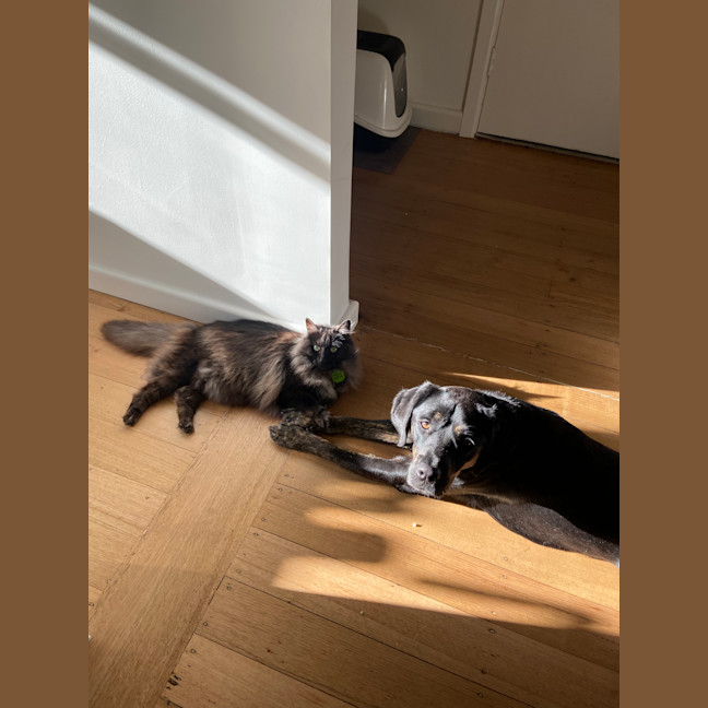 Photo of Phoebe