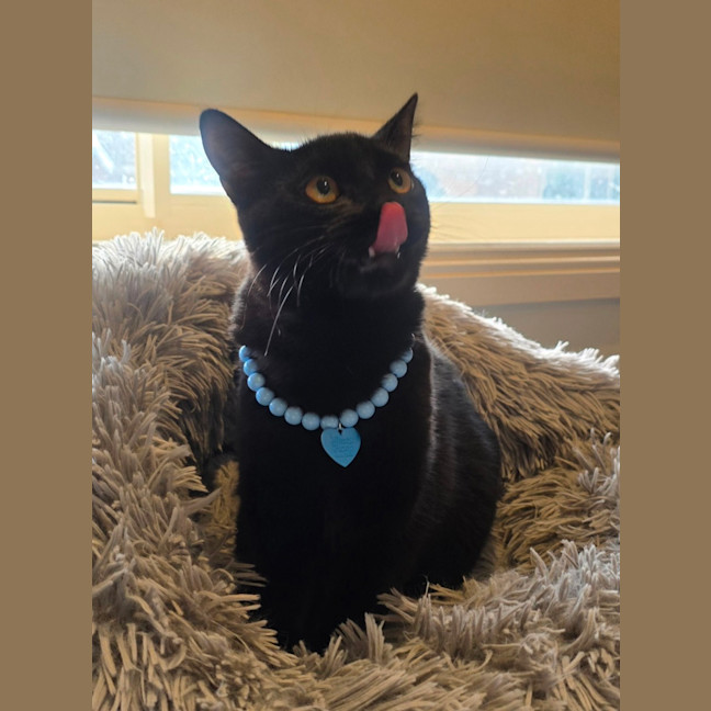 Photo of Mystic