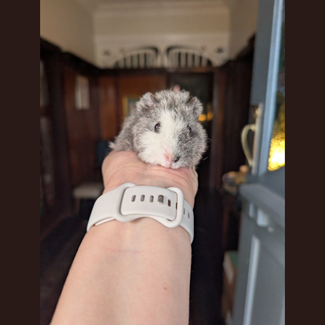 Photo of Benedict