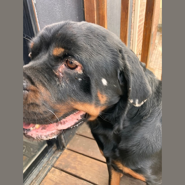 Photo of Zeus
