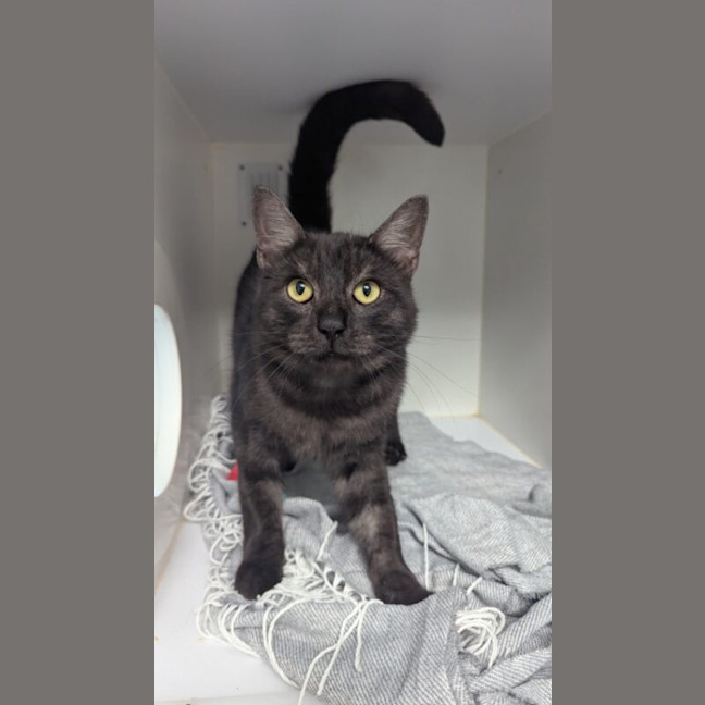 Photo of Sooty