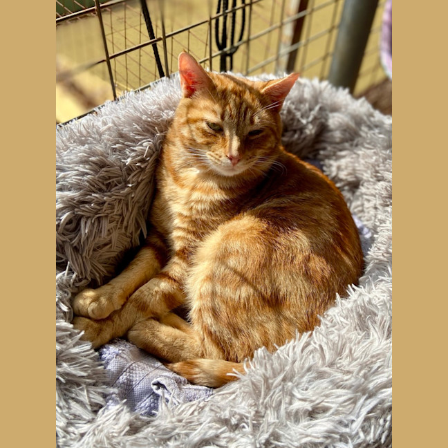 Photo of Gary & Chip   Your Best Friends 