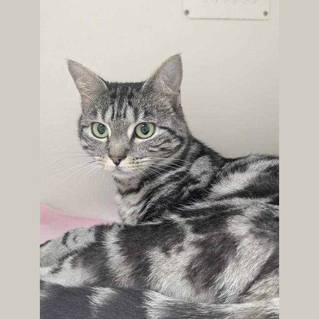 Photo of 💫 Marnie 6898 💫