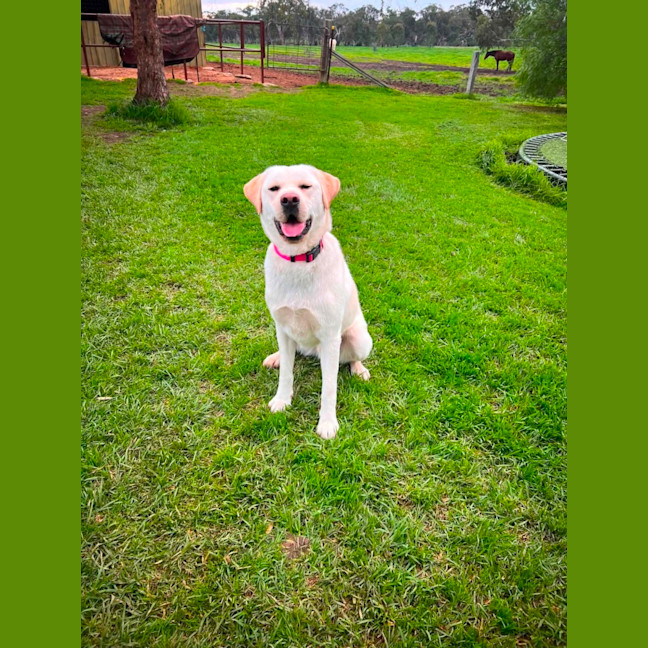 Photo of Happy