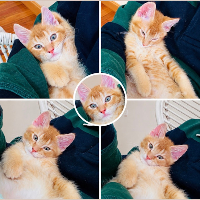 Photo of Barry