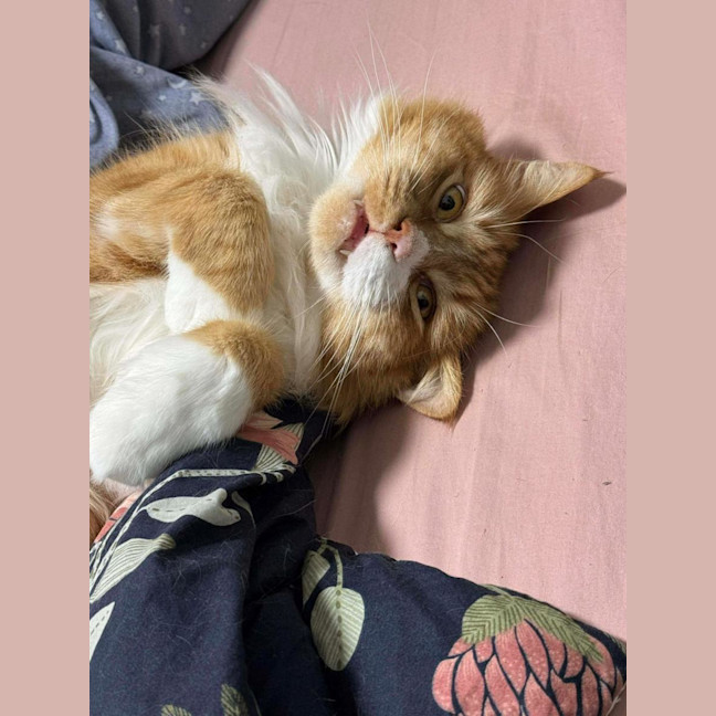 Photo of Pablo