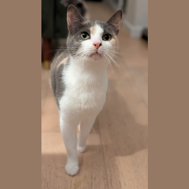 Photo of Mabel