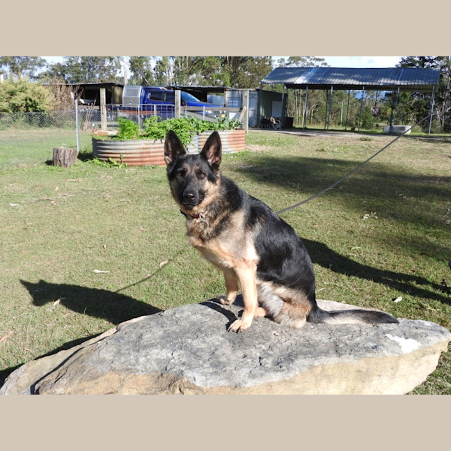Photo of Bessy