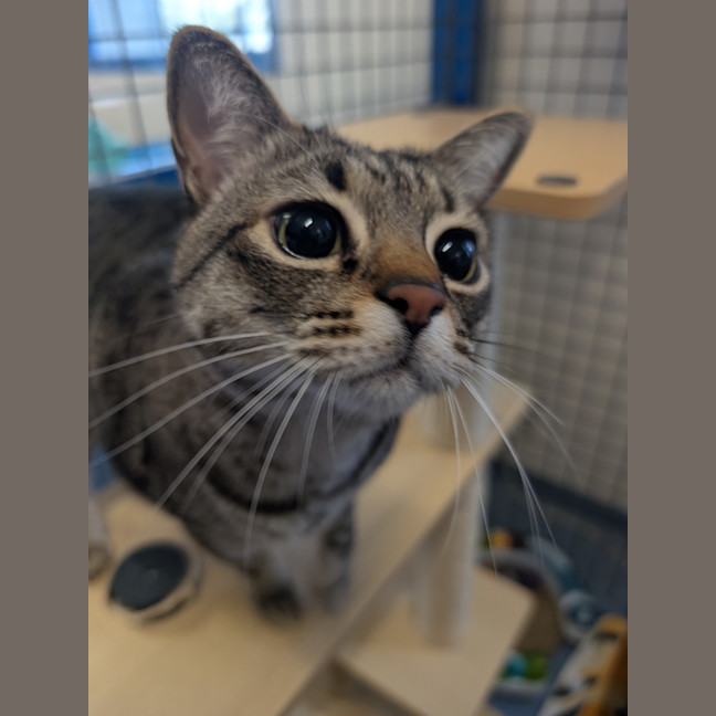 Photo of Charlie