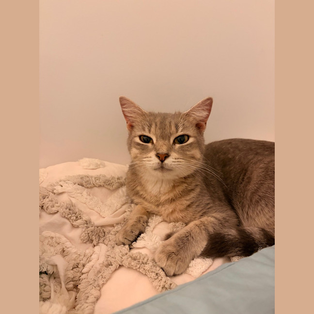 Photo of Patty