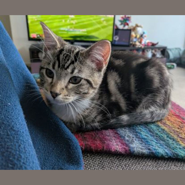 Photo of Hazel