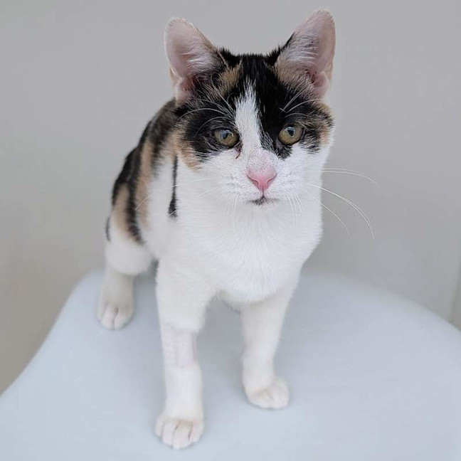 Photo of Milly