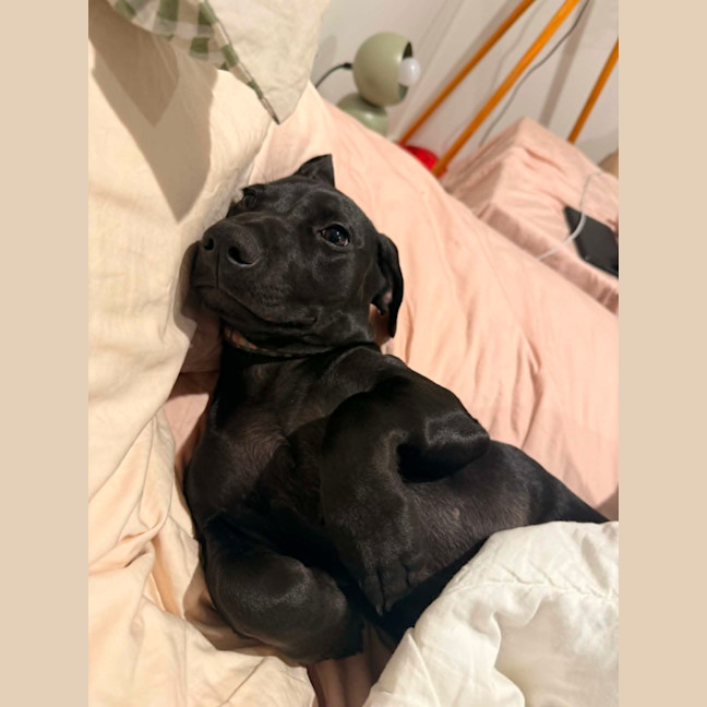 Photo of Maverick 