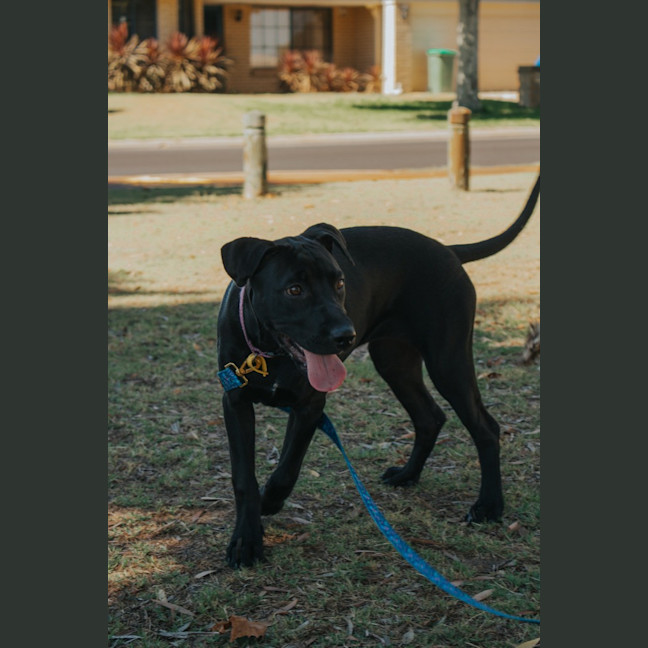 Photo of Rum & Raisin