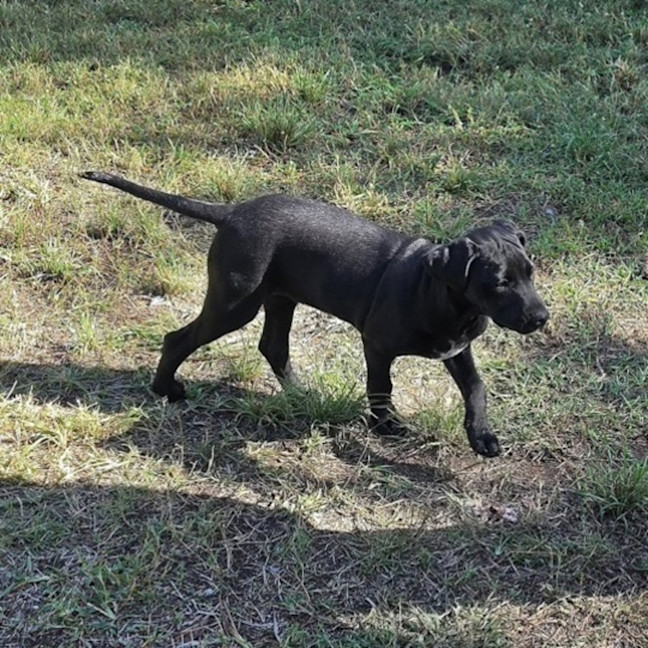 Photo of Beatrice
