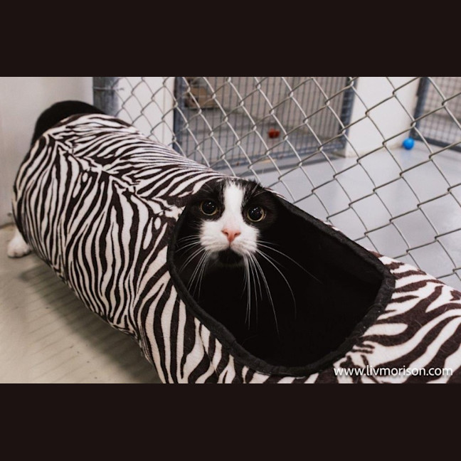 Photo of Jasper Picton