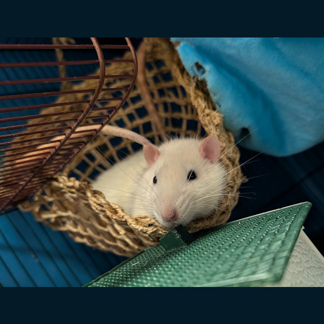 Photo of George