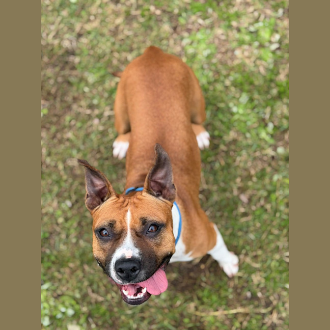 Photo of Bingo
