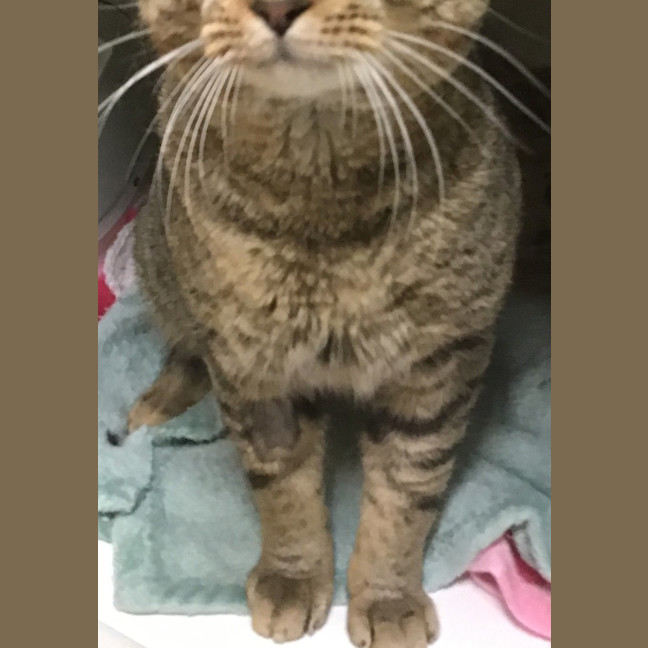 Photo of Dudley