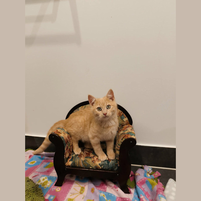 Photo of Garthie