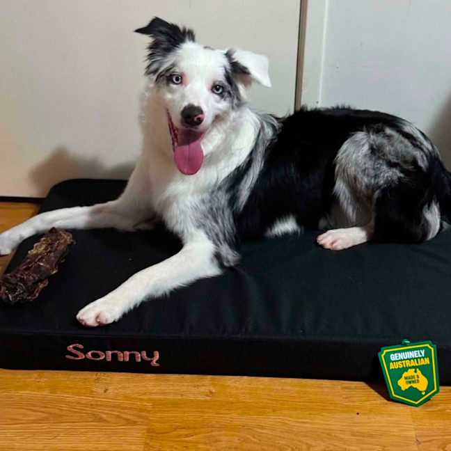 Photo of Sonny