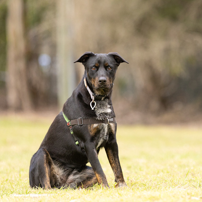 Photo of Freya