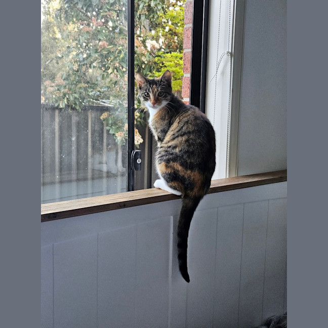 Photo of Sophie