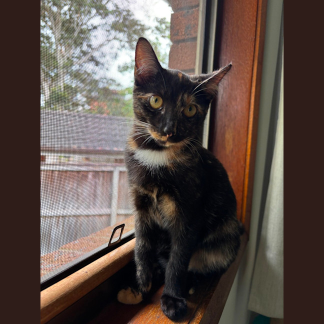 Photo of Maya