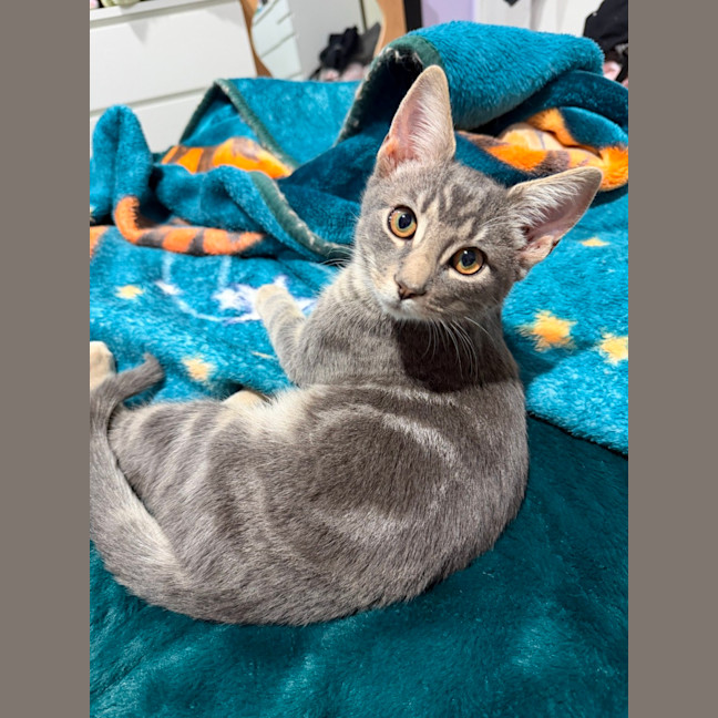 Photo of Morty