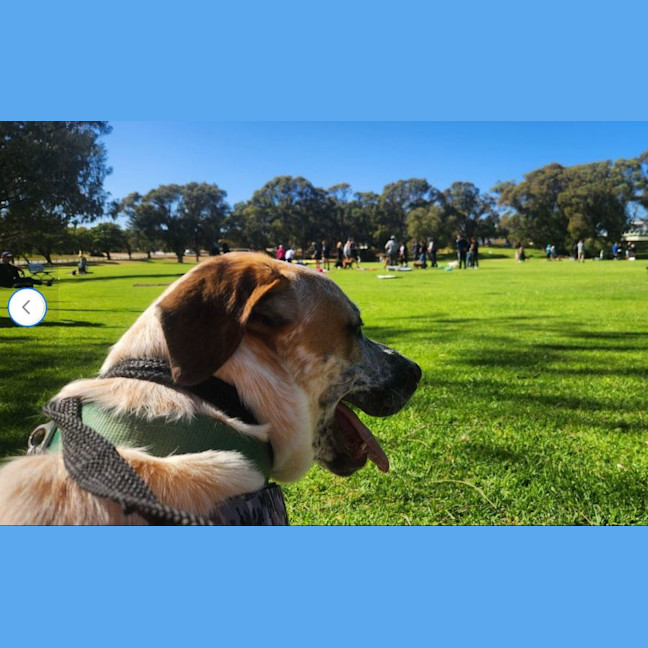 Photo of Ricky Bobby