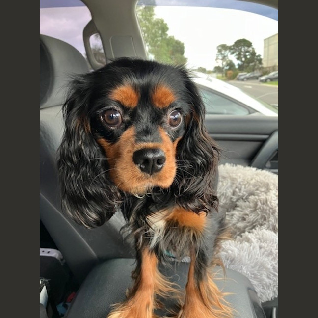 Photo of Walter Quinnell