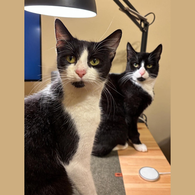 Photo of Lily & Delilah 