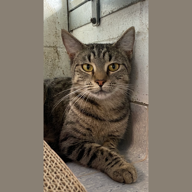 Photo of Narla
