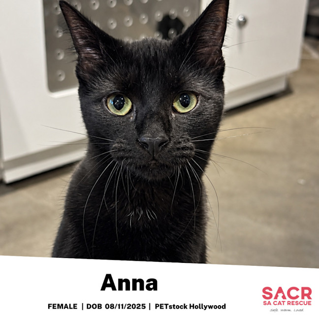 Photo of Anna
