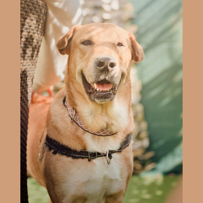 Photo of Ted