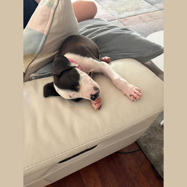 Photo of Cleo
