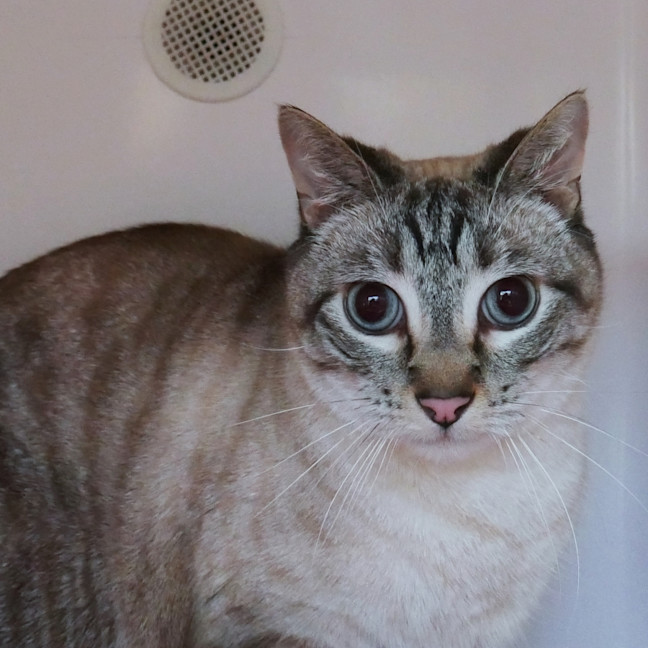 Photo of Alfie Rsua008616