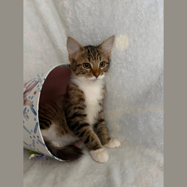 Photo of Evie