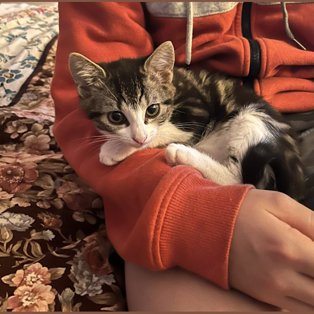 Photo of Francine