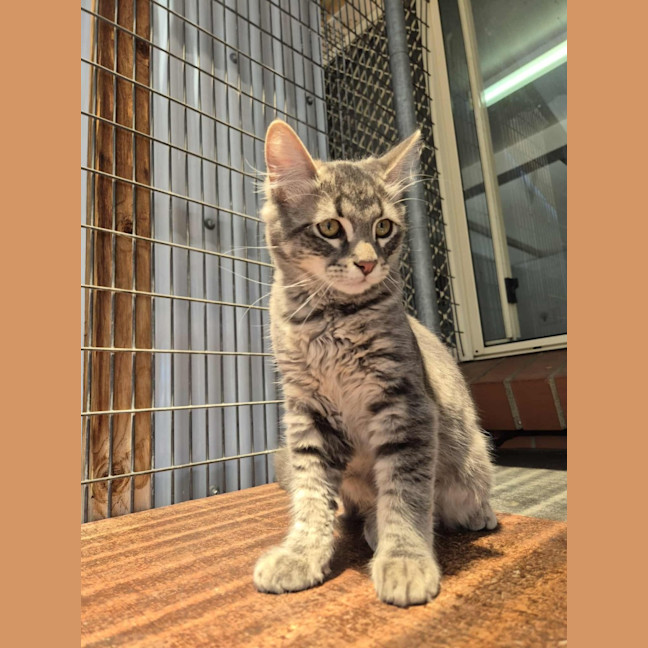 Photo of Winter! ❄️