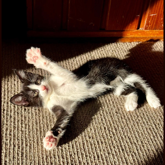 Photo of Steve