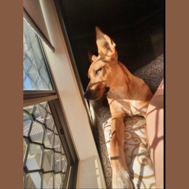 Photo of Zuri